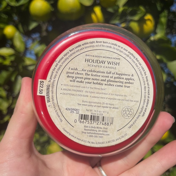 Holiday Wish Good Cheer Golden Apples and Spice Bath and Body Works Candle - Picture 4 of 7